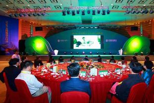 廣西專業婚慶策劃主持哪家好？非凡婚慶活動策劃全方位解析